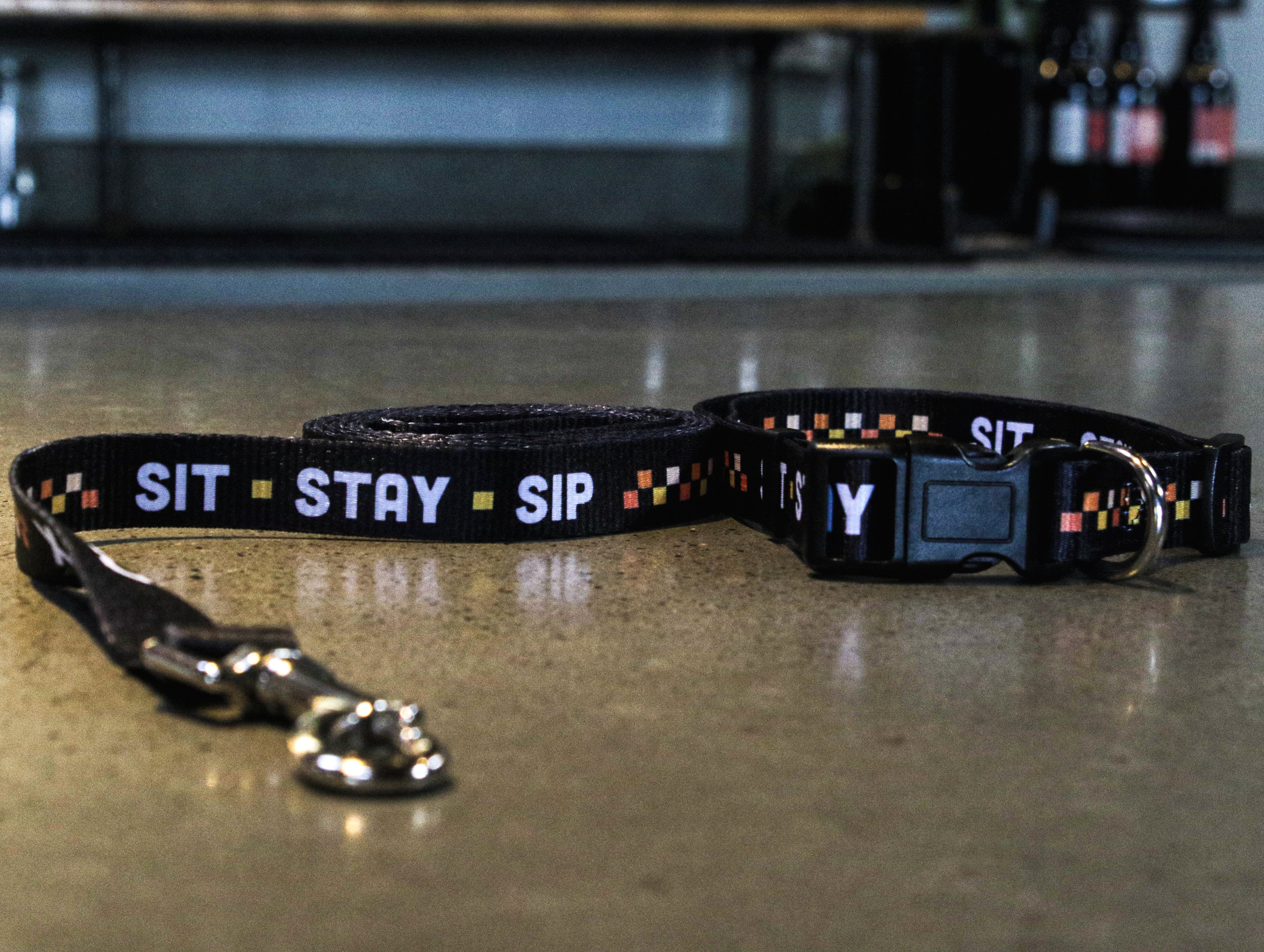 Crux Dog Leash & Collar Combo